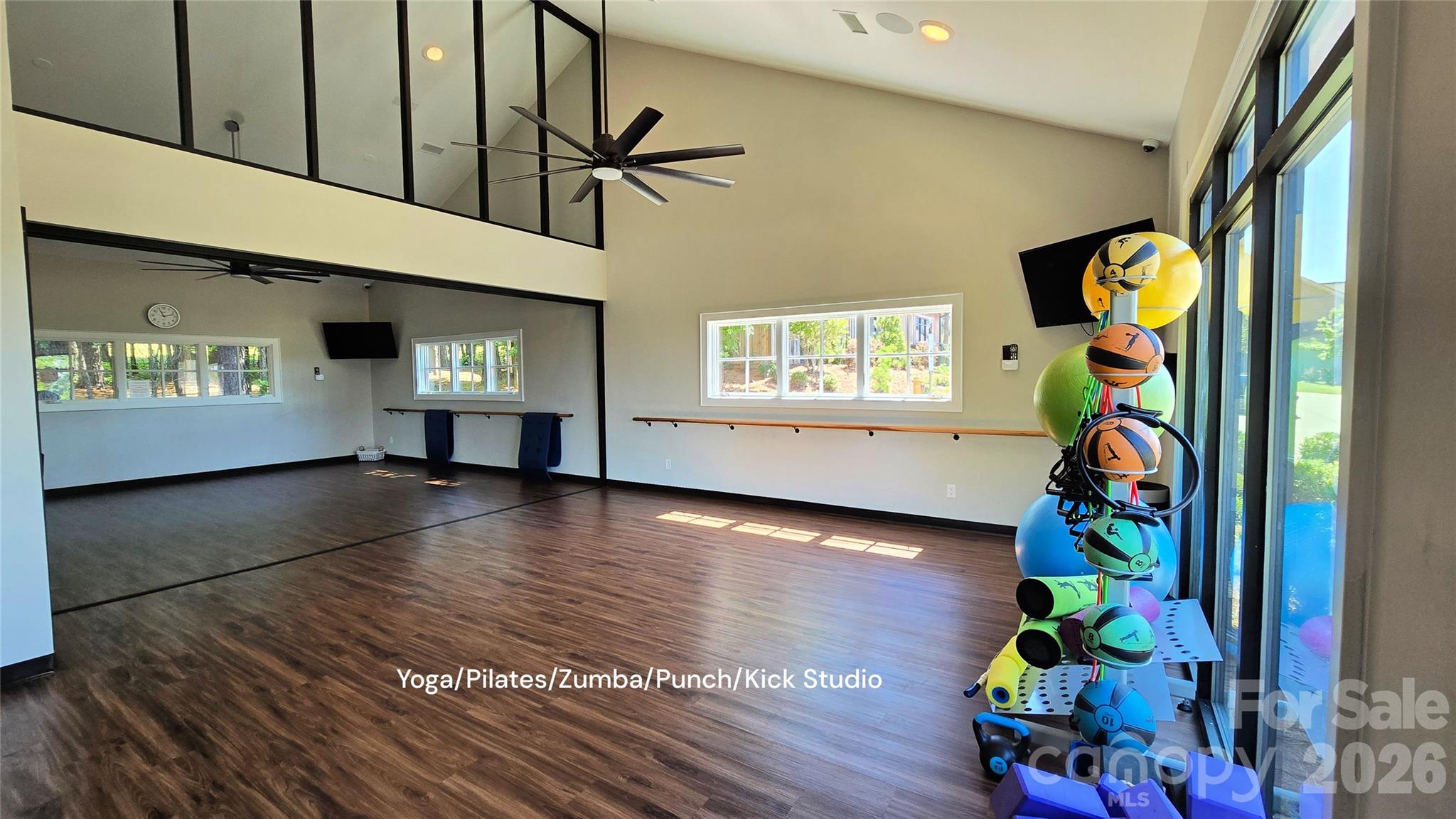 905 Raffaelo View Mount Holly, NC 28120 - Photo 47 of 48 Gallery Image 47