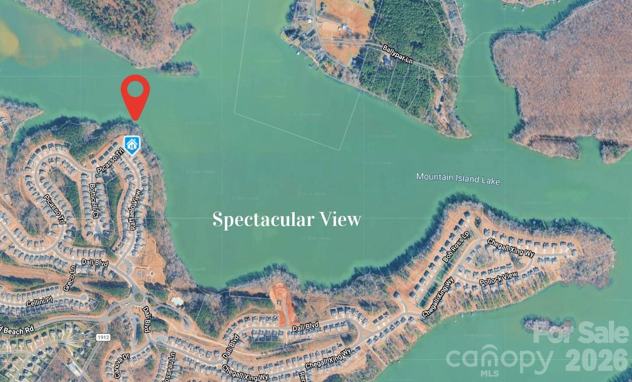 905 Raffaelo View Mount Holly, NC 28120 - Photo 6 of 48 Gallery Image 6