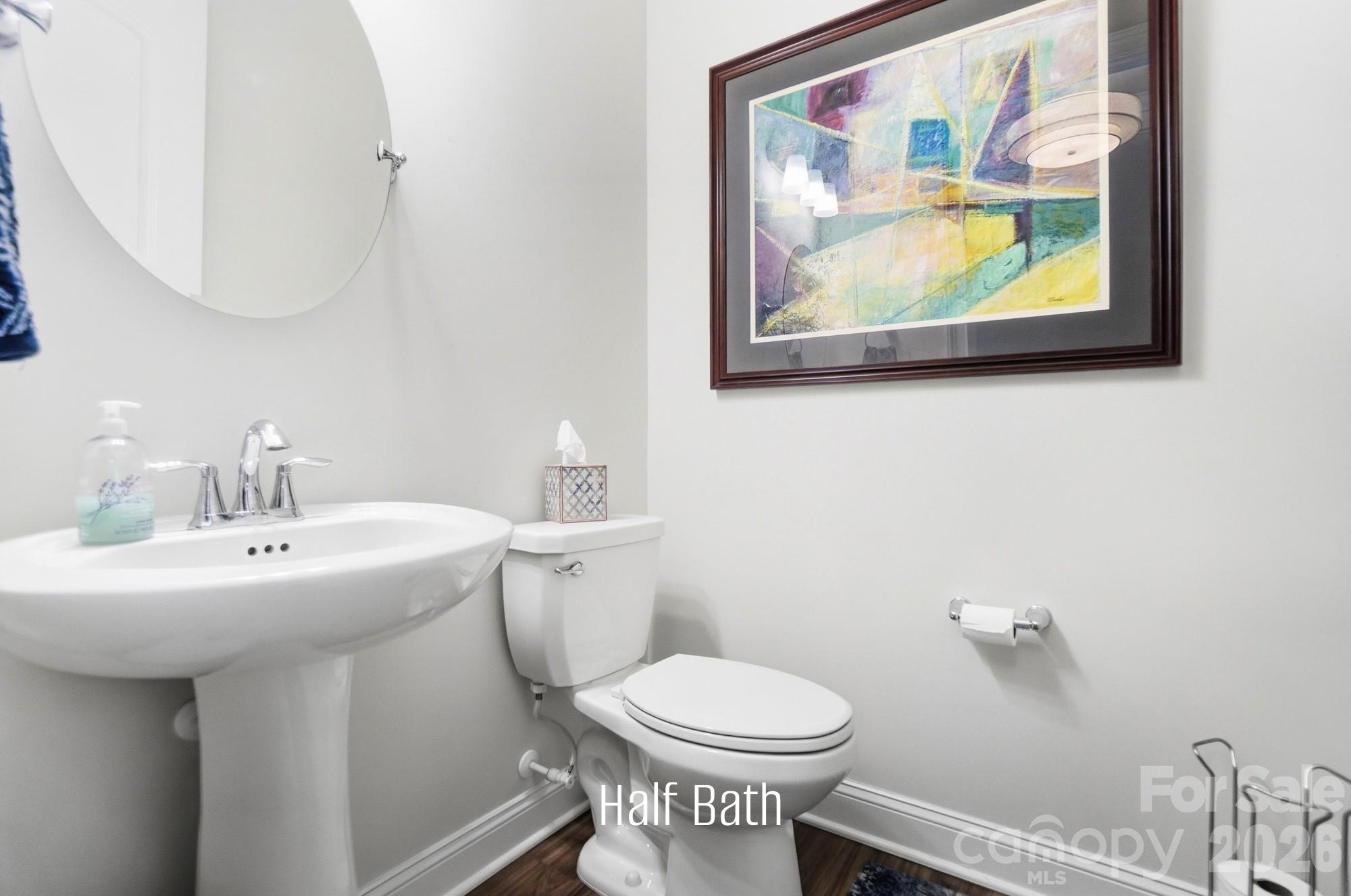 905 Raffaelo View Mount Holly, NC 28120 - Photo 10 of 48 Gallery Image 10