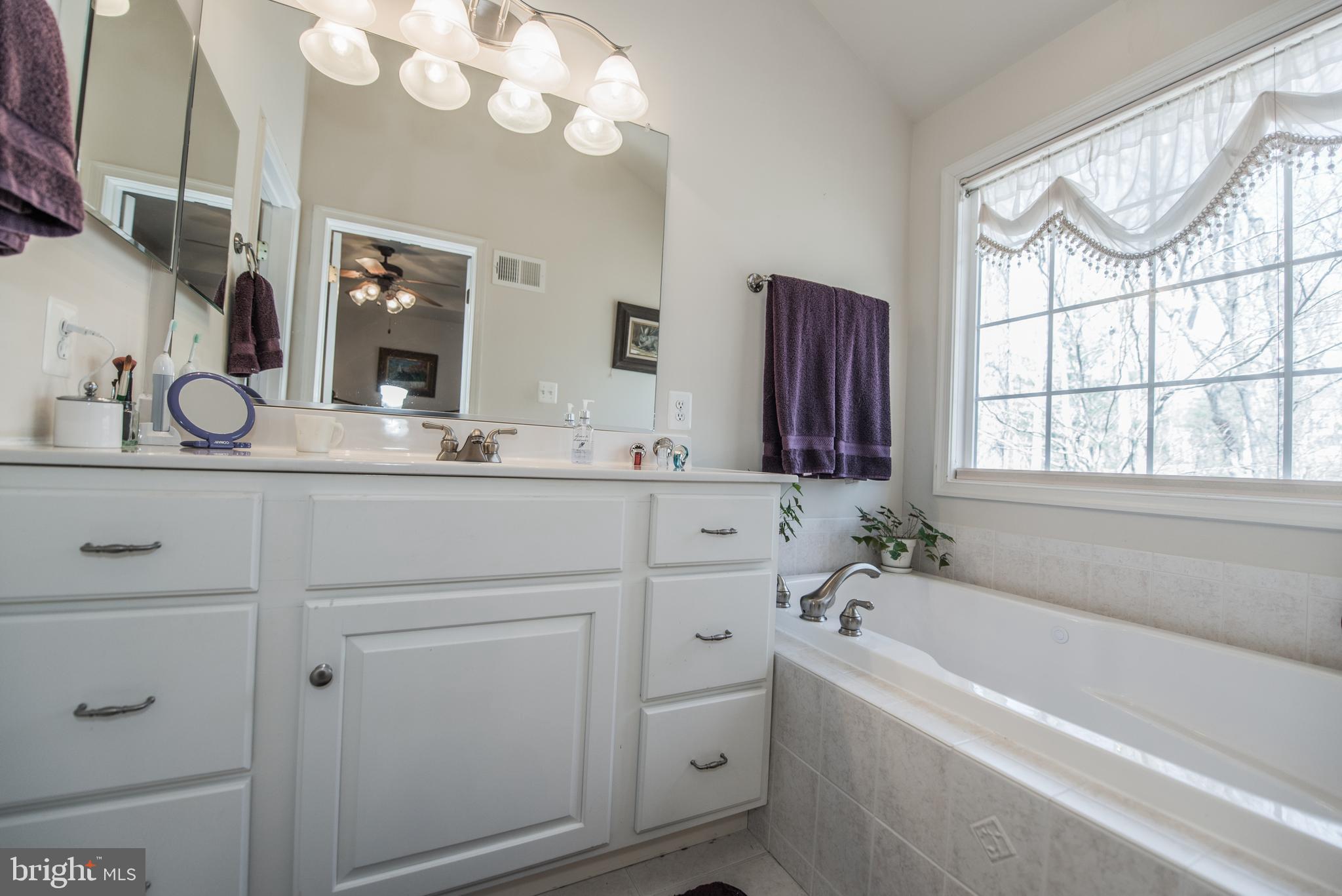 108 Eagle Drive Cross Junction, VA 22625 - Photo 11 of 39 a bathroom with a tub a sink and a large mirror