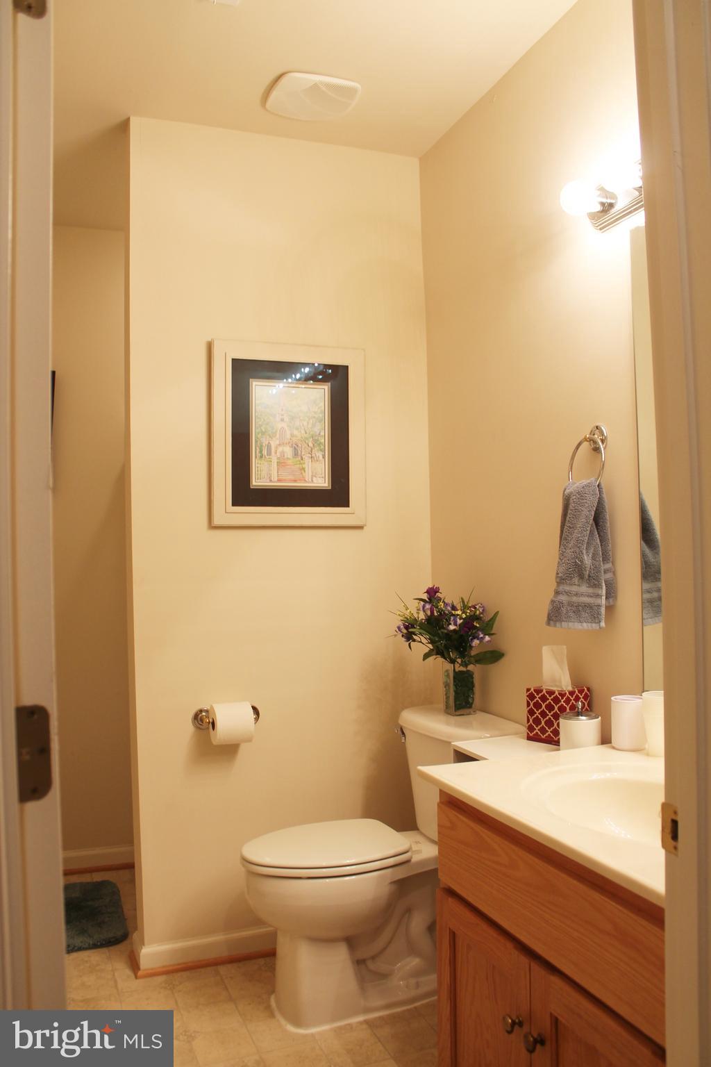 108 Eagle Drive Cross Junction, VA 22625 - Photo 23 of 39 a bathroom with a sink mirror vanity and toilet