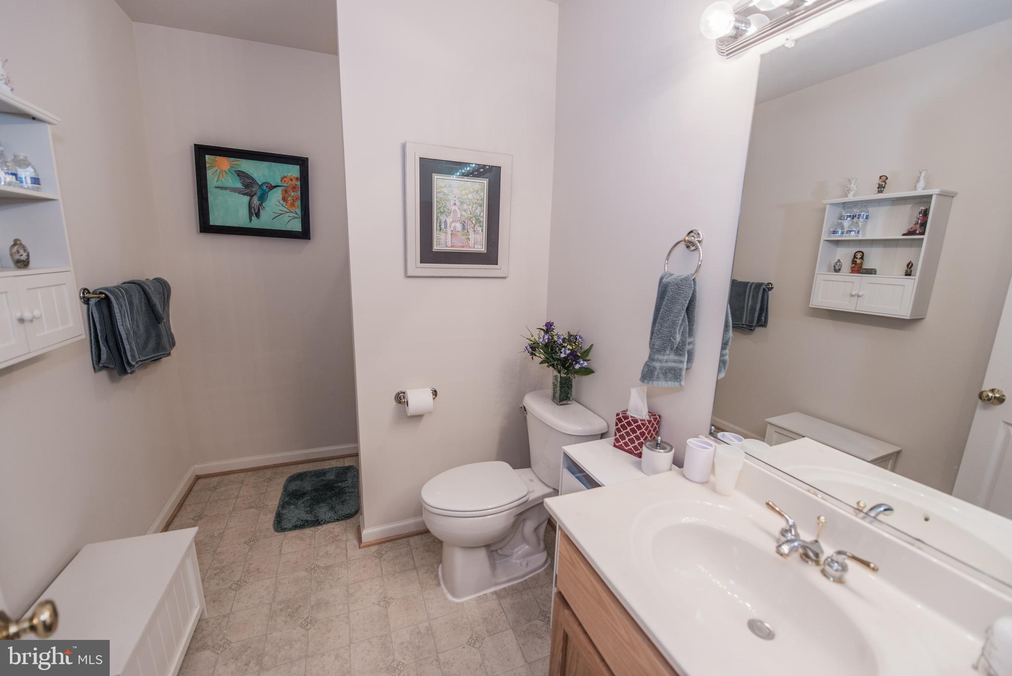 108 Eagle Drive Cross Junction, VA 22625 - Photo 37 of 39 a bathroom with a sink mirror vanity and toilet