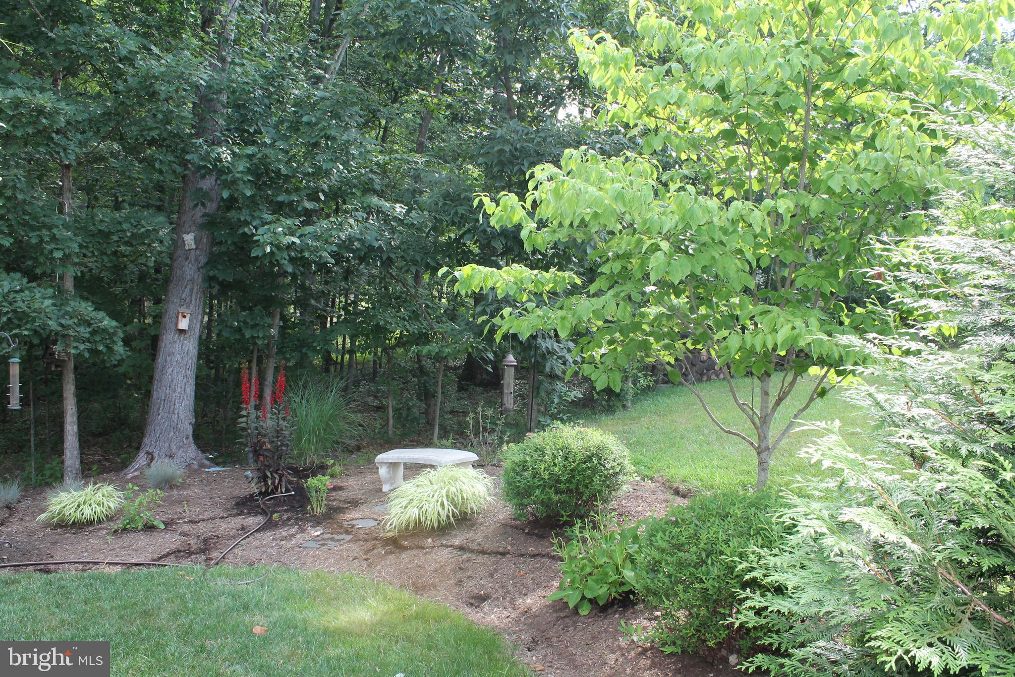108 Eagle Drive Cross Junction, VA 22625 - Photo 38 of 39 a backyard of a house with lots of green space and fountain