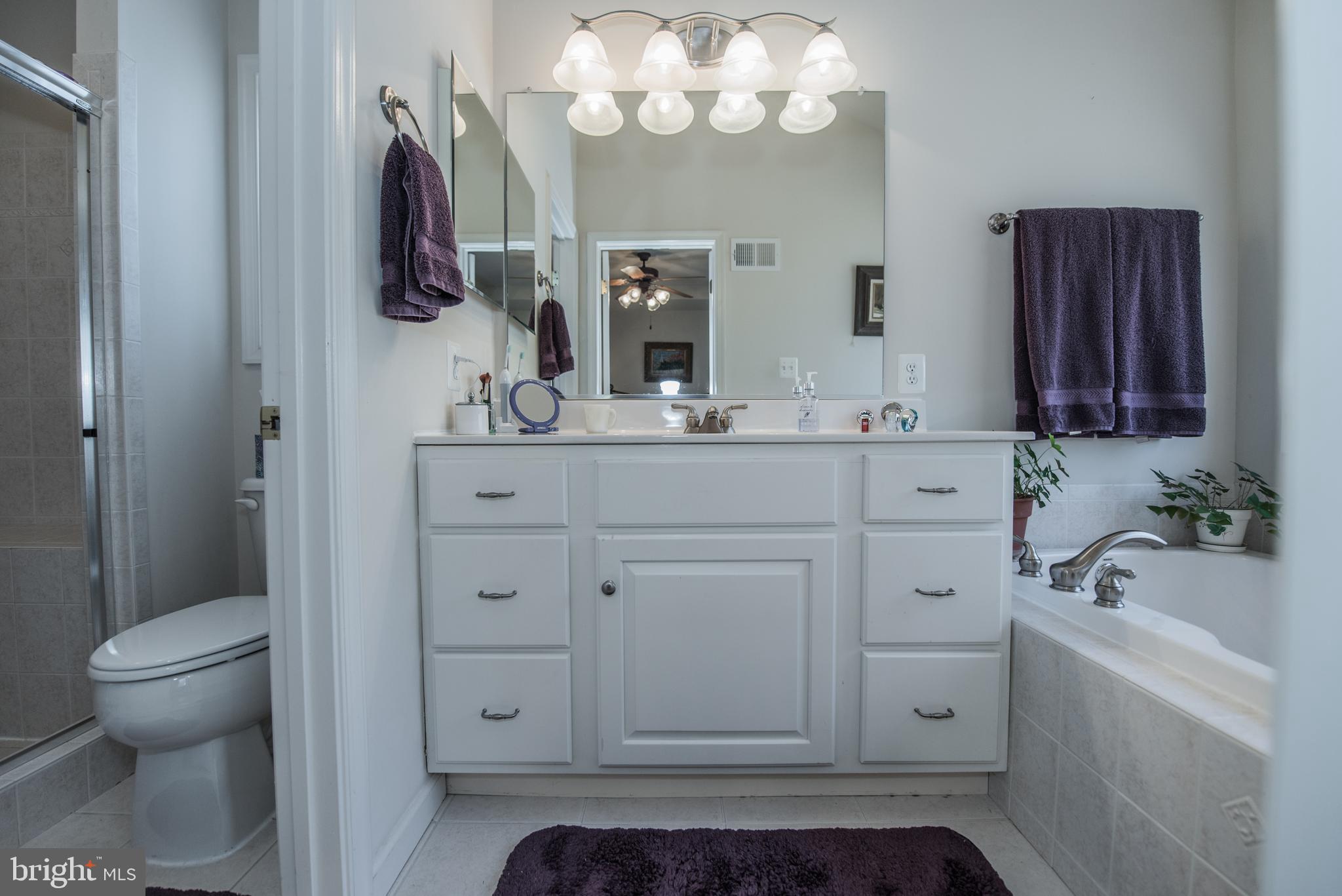 108 Eagle Drive Cross Junction, VA 22625 - Photo 10 of 39 a bathroom with a sink a toilet and a mirror