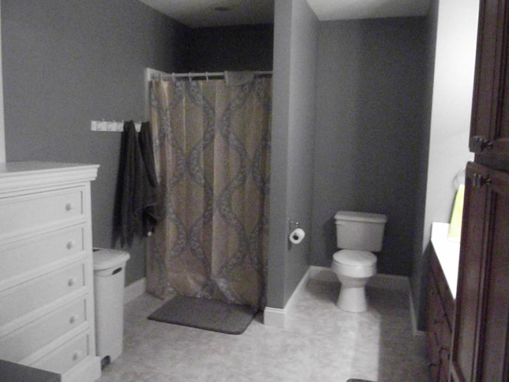 224 Reed Avenue Greeneville, TN 37743 - Photo 11 of 29 Large Master Bath
