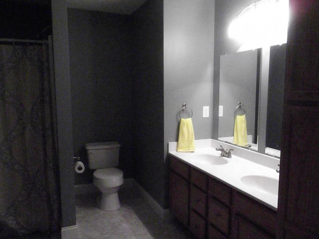 224 Reed Avenue Greeneville, TN 37743 - Photo 12 of 29 Master Bath