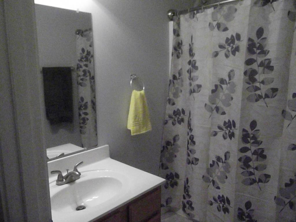 224 Reed Avenue Greeneville, TN 37743 - Photo 18 of 29 Full Bath