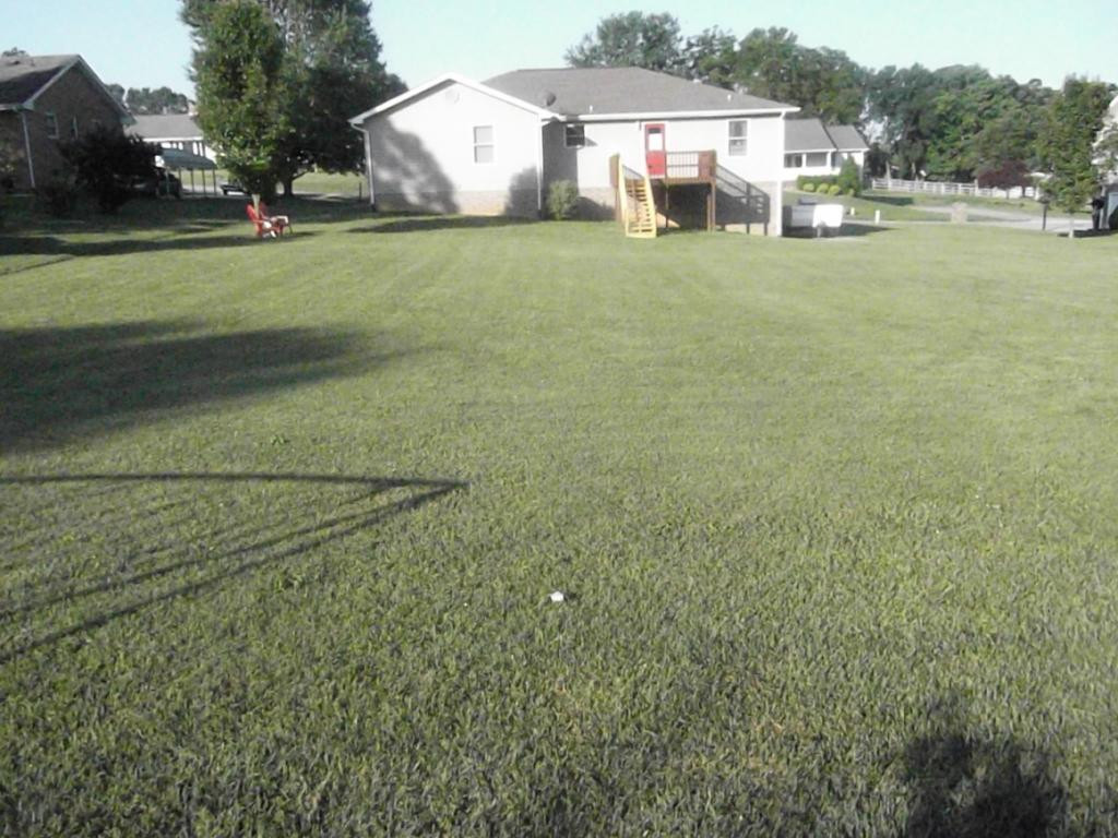 224 Reed Avenue Greeneville, TN 37743 - Photo 26 of 29 Large back yard to enjoy