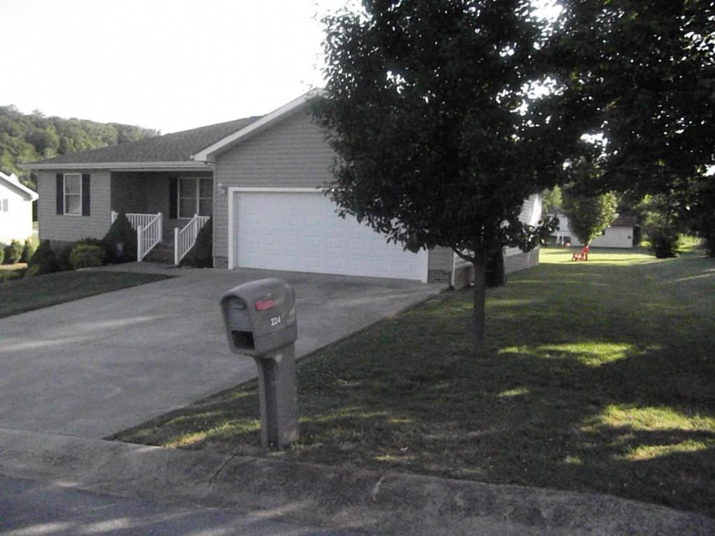 224 Reed Avenue Greeneville, TN 37743 - Photo 28 of 29 Mature trees to enjoy