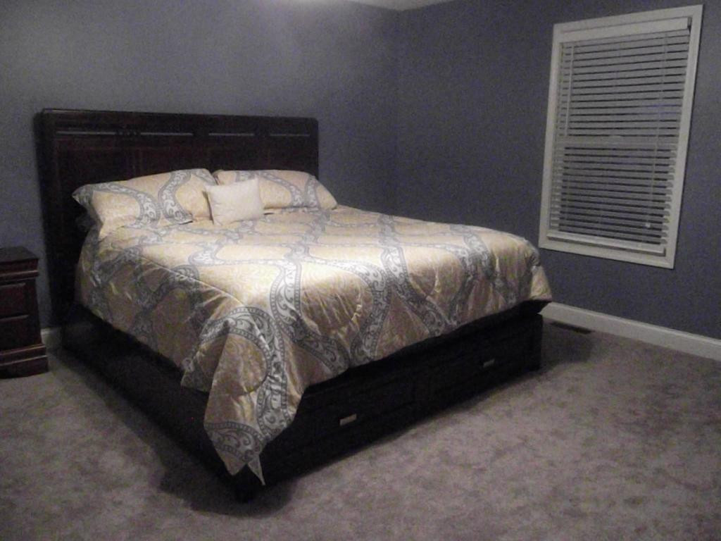 224 Reed Avenue Greeneville, TN 37743 - Photo 9 of 29 Master Bedroom