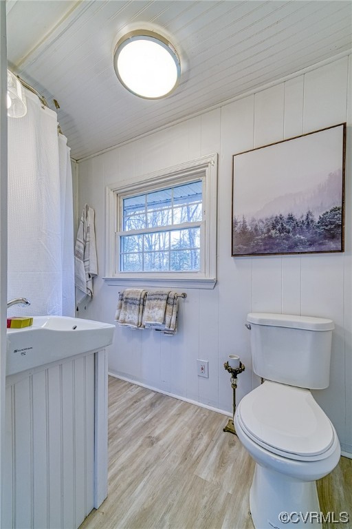 13721 Sandy Point Road Charles City, VA 23030 - Photo 38 of 39 Gallery Image 38