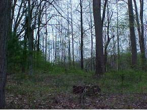 2217 Nantucket Road Johnson City, TN 37604 - Photo 6 of 8 Photo 6