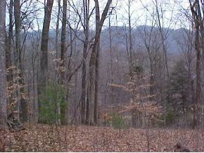 2217 Nantucket Road Johnson City, TN 37604 - Photo 7 of 8 Photo 7