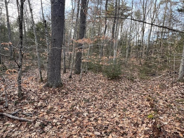 89 E Road Orange, MA 01364 - Photo 5 of 6 a view of a pathway of a building