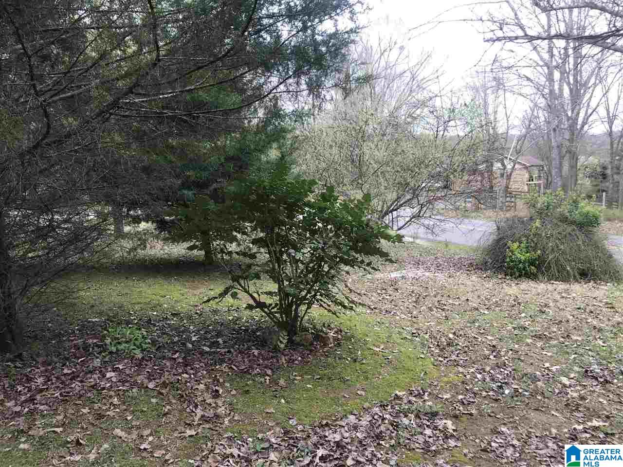 1410 County Line Road Oxford, AL 36203 - Photo 29 of 31