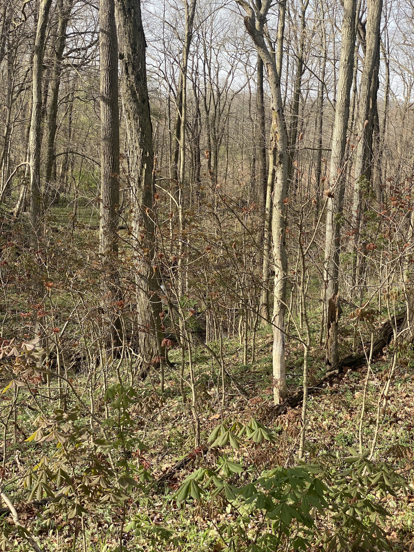 0 East 100th Rd South