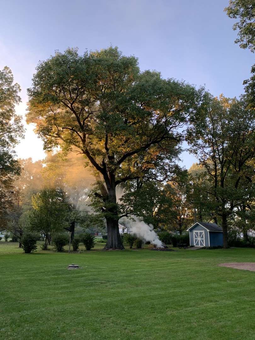 13369 Ash Road Genoa, IL 60135 - Photo 26 of 26 a big yard with lots of trees