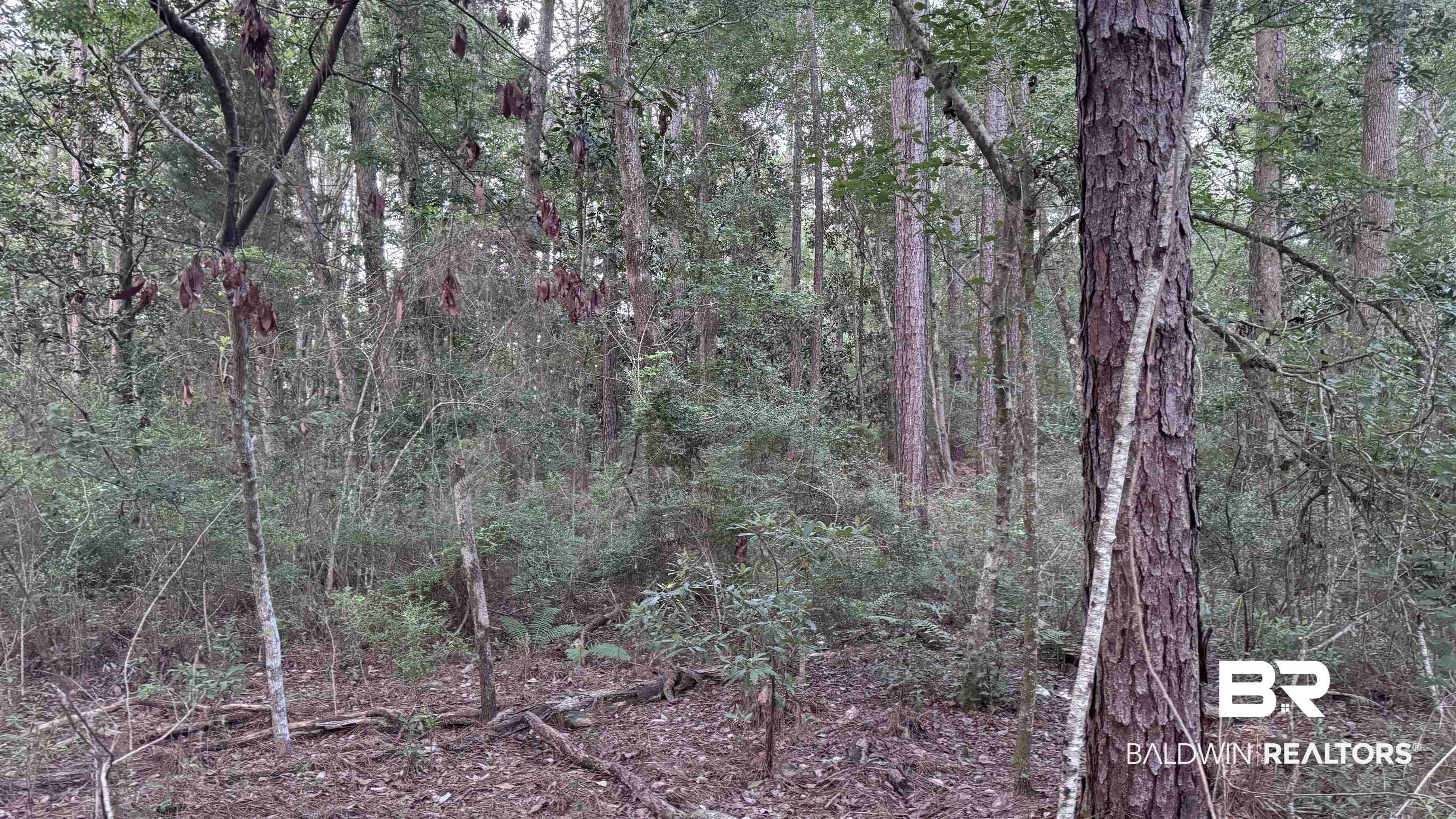 0 Highway 188 Coden, AL 36523 - Photo 28 of 37 Gallery Image 28
