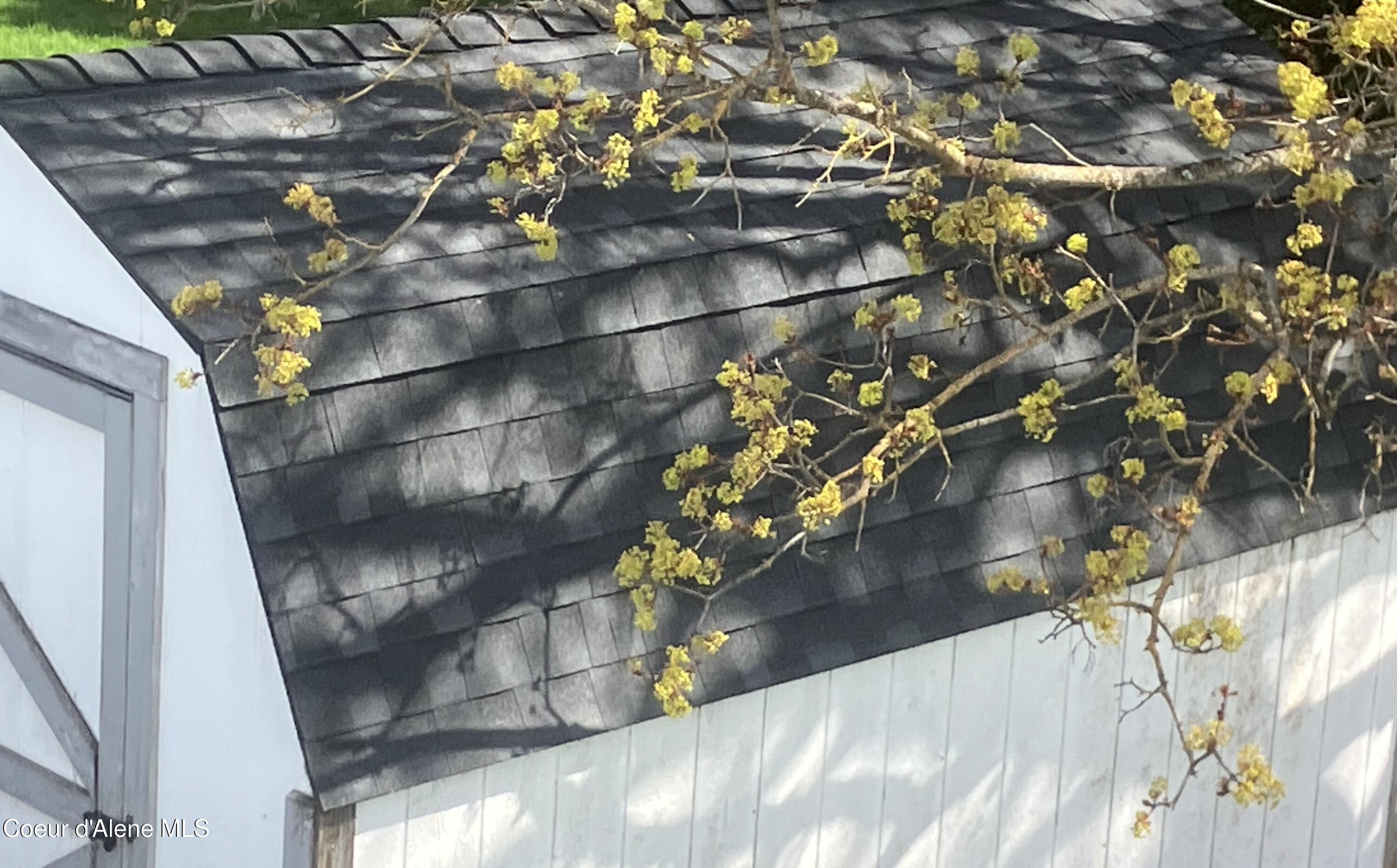 654 Maple Place Hayden, ID 83835 - Photo 5 of 36 1000000614