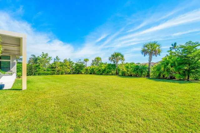 a view of a big yard with a large tree