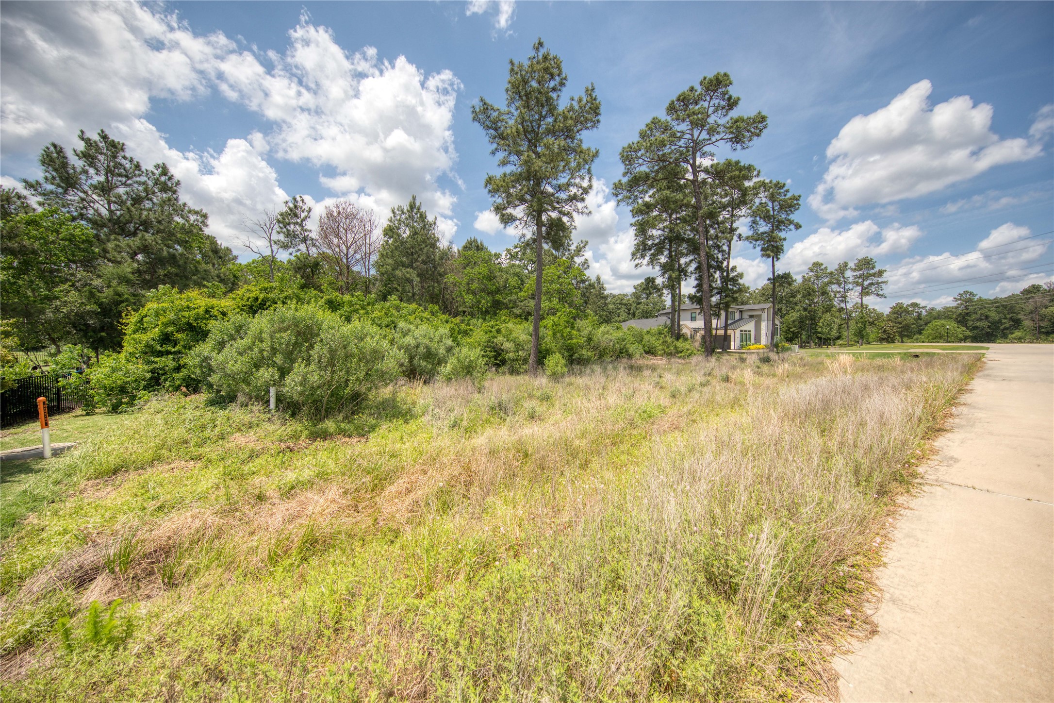 31111 Spring Lake Boulevard Tomball, TX 77375 - Photo 11 of 19 a view of yard with swimming pool and trees in the background