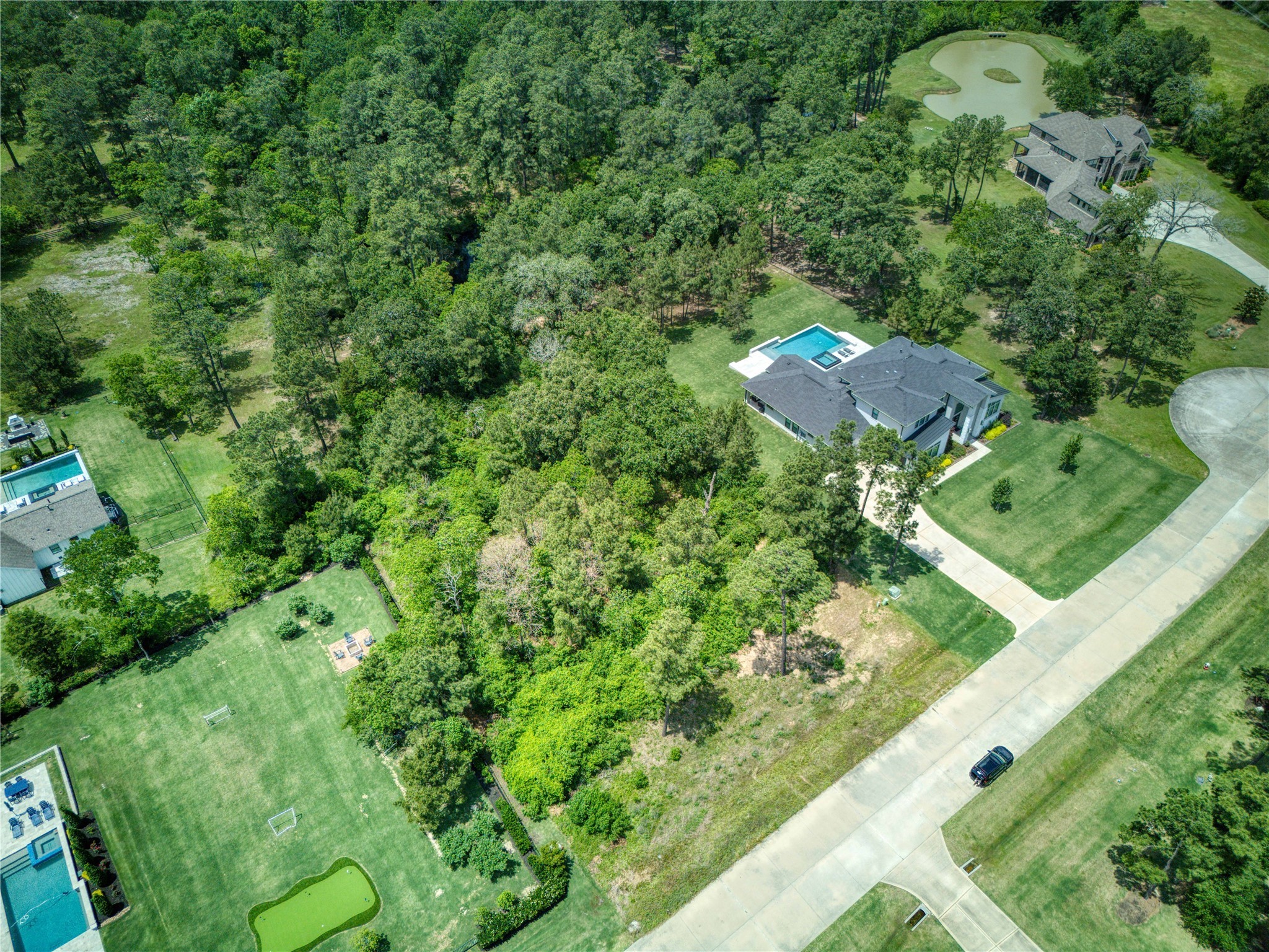31111 Spring Lake Boulevard Tomball, TX 77375 - Photo 16 of 19 a view of a garden with a tree