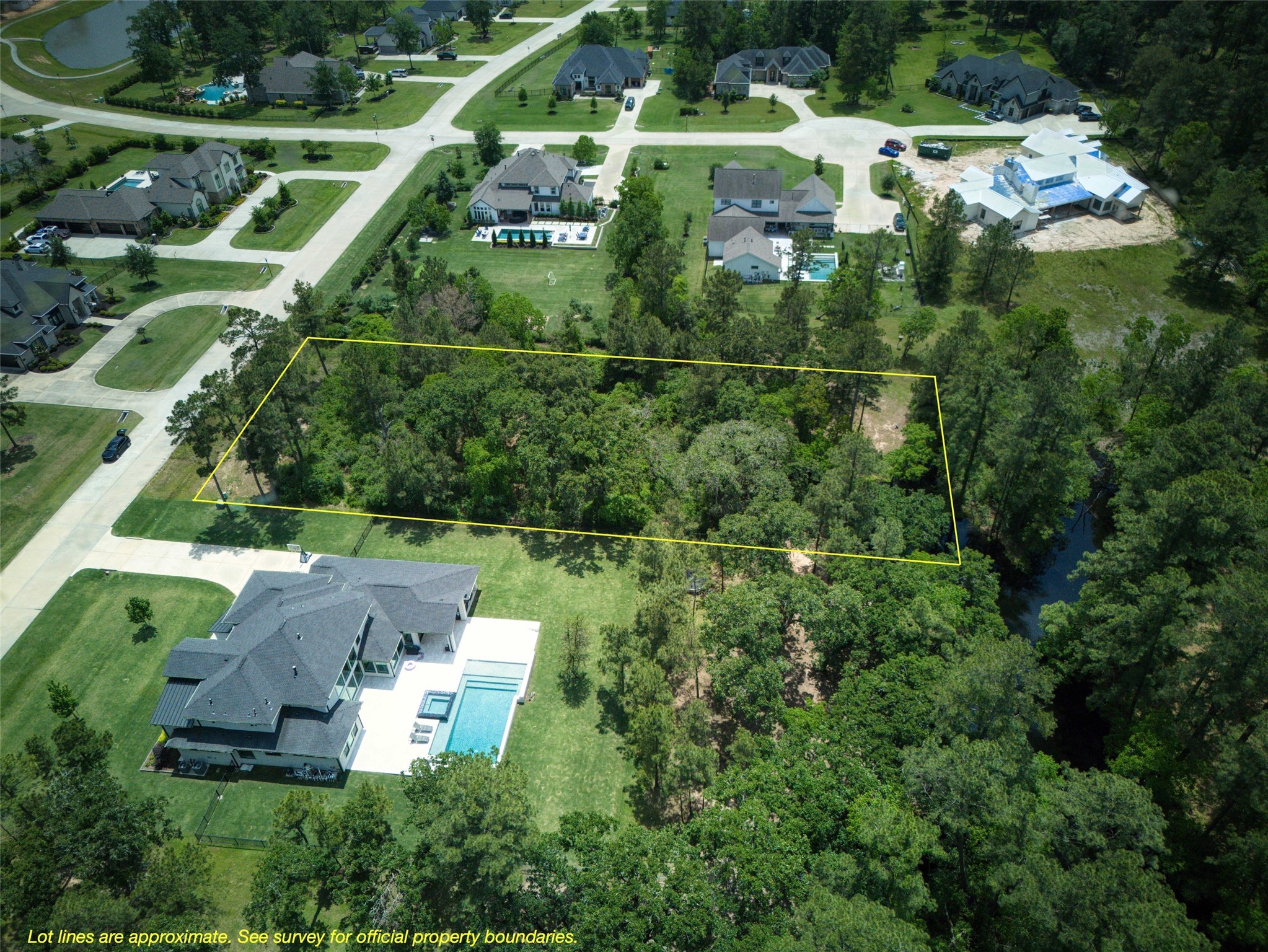 31111 Spring Lake Boulevard Tomball, TX 77375 - Photo 5 of 19 a view of a garden with plants and large trees