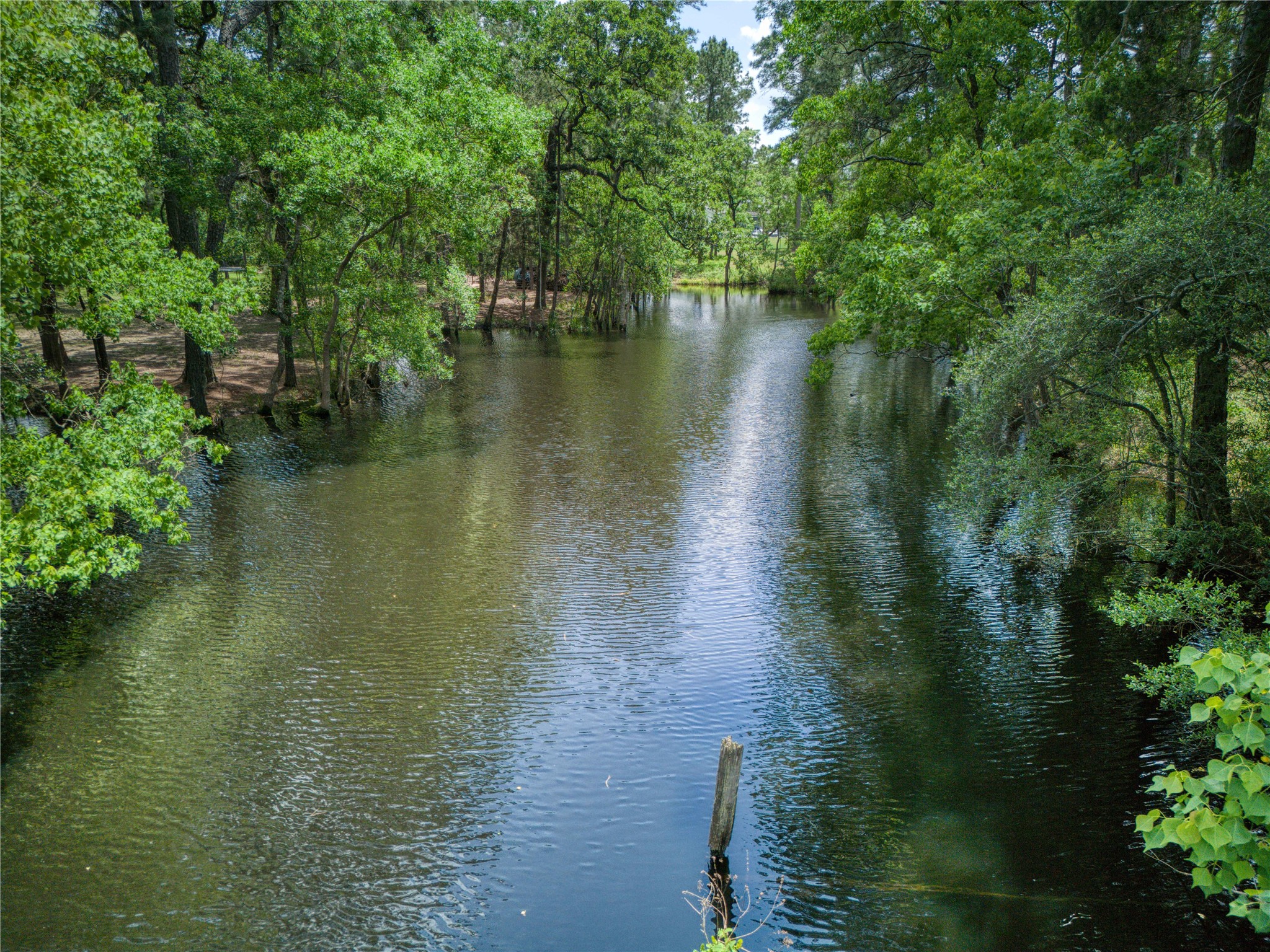 31111 Spring Lake Boulevard Tomball, TX 77375 - Photo 7 of 19