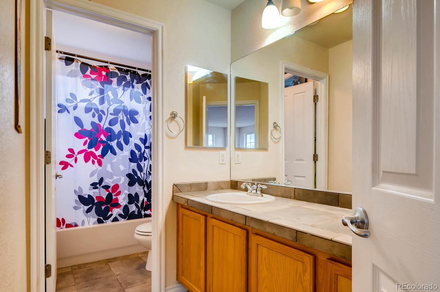 3009 Redhaven Way Highlands Ranch, CO 80126 - Photo 20 of 28 Gallery Image 20