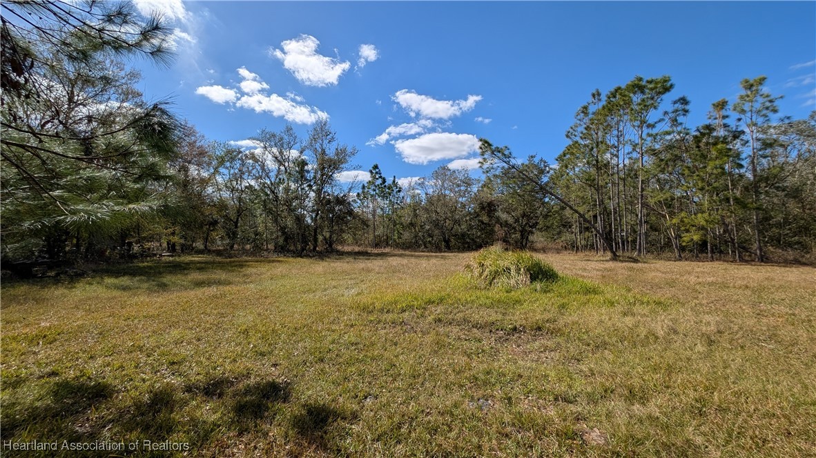 7401 Roberts Road Ona, FL 33865 - Photo 32 of 50 Gallery Image 32