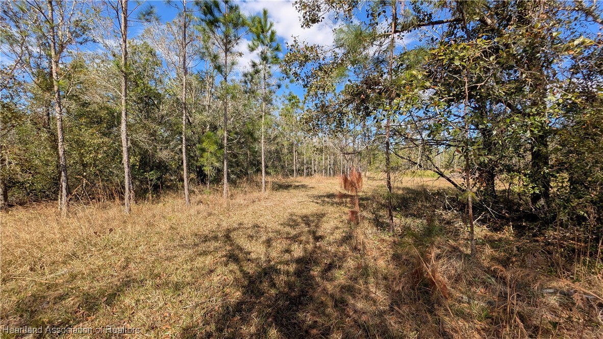7401 Roberts Road Ona, FL 33865 - Photo 33 of 50 Gallery Image 33