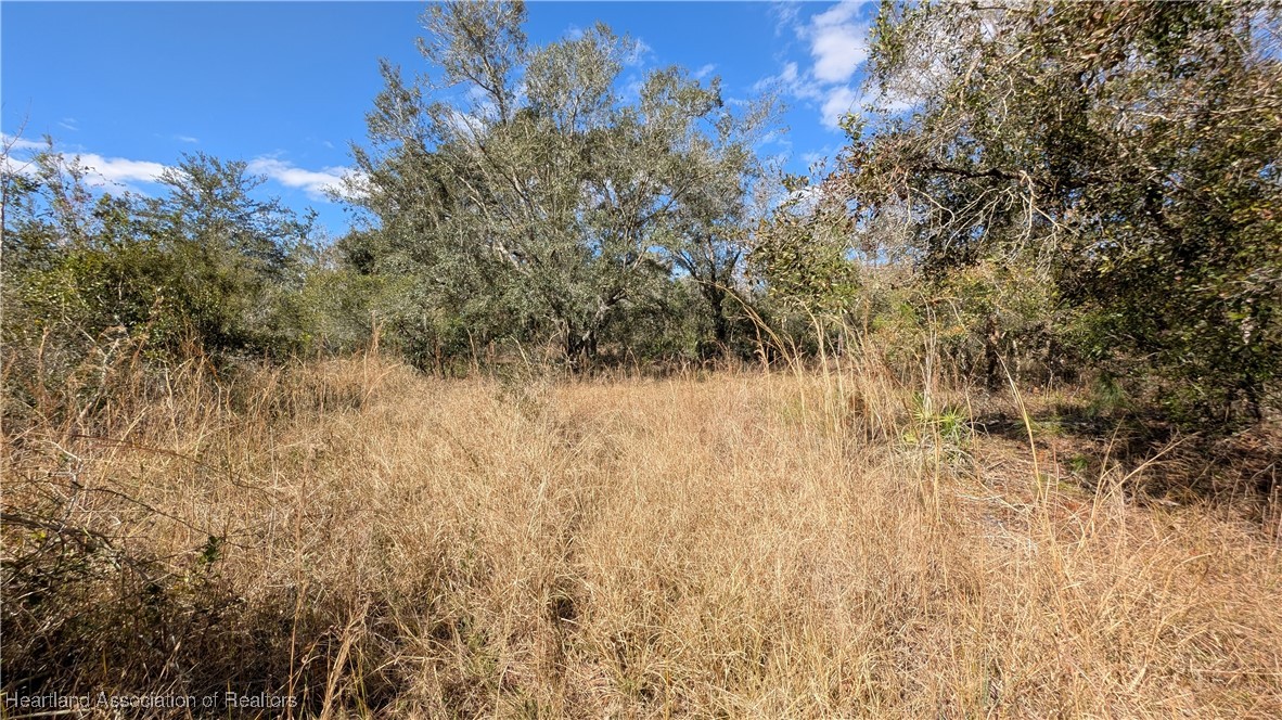 7401 Roberts Road Ona, FL 33865 - Photo 35 of 50 Gallery Image 35