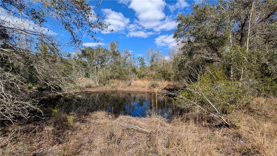 7401 Roberts Road Ona, FL 33865 - Photo 36 of 50 Gallery Image 36