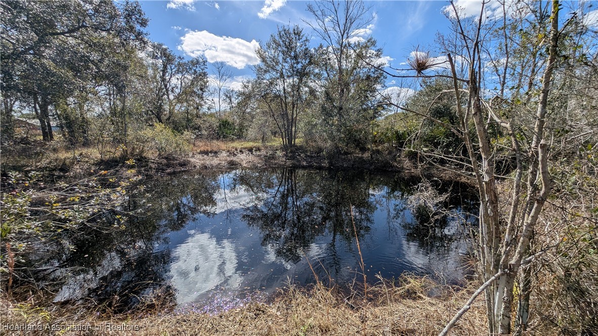 7401 Roberts Road Ona, FL 33865 - Photo 37 of 50 Gallery Image 37