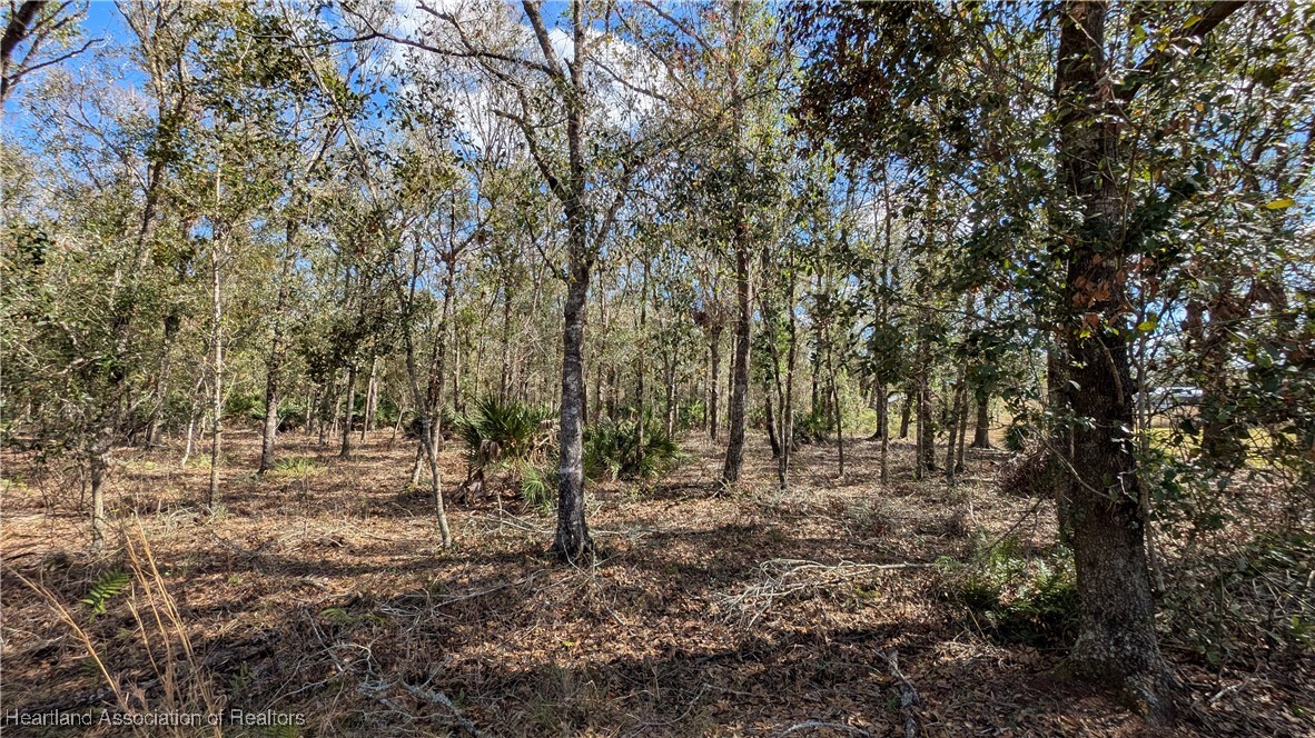 7401 Roberts Road Ona, FL 33865 - Photo 39 of 50 Gallery Image 39
