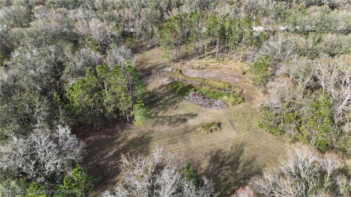 7401 Roberts Road Ona, FL 33865 - Photo 41 of 50 Gallery Image 41