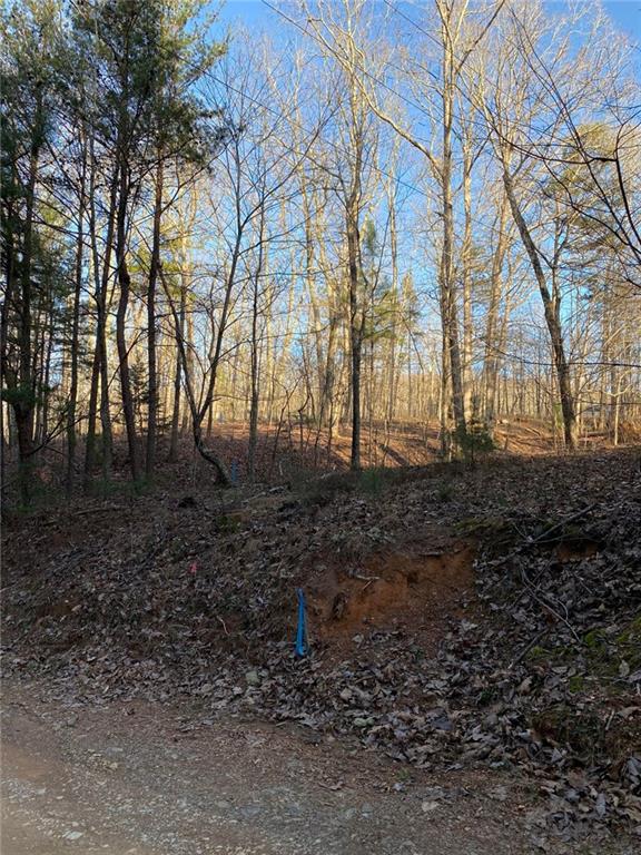 0 Lefevers Road Cedartown, GA 30125 - Photo 1 of 1 a backyard of a house with lots of green space