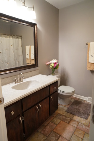 936 South Bentley Road New Lenox, IL 60451 - Photo 13 of 23