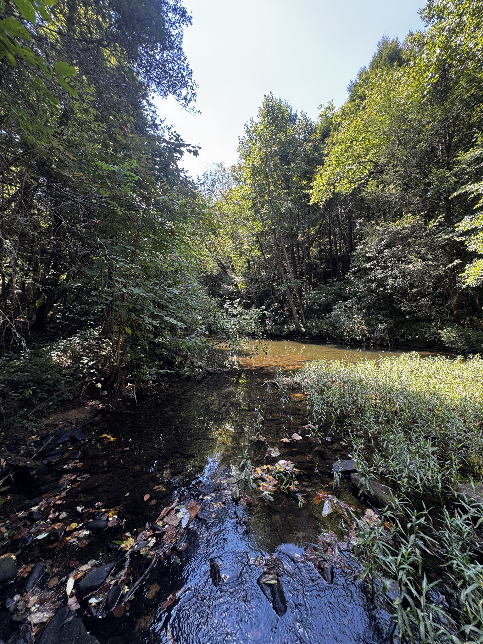 1475 Campground Road Clarkrange, TN 38553 - Photo 15 of 31 Gallery Image 15