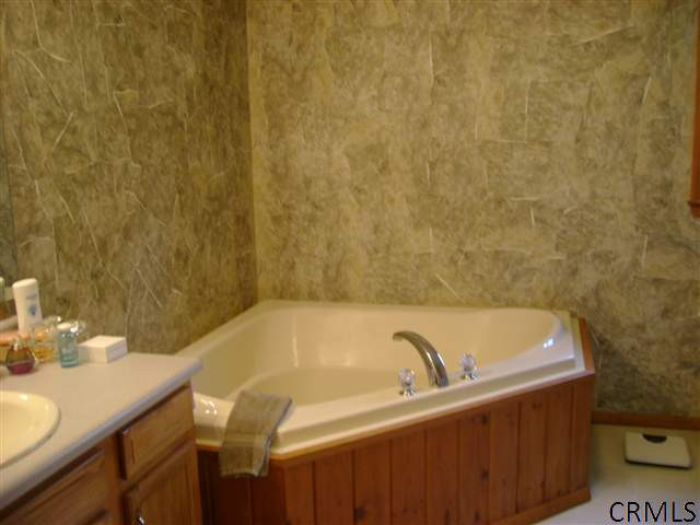 425 Cole Road Delanson, NY 12053 - Photo 7 of 12 Photo 7