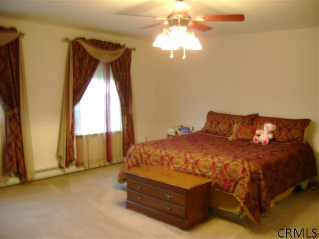 425 Cole Road Delanson, NY 12053 - Photo 8 of 12 Photo 8