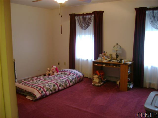 425 Cole Road Delanson, NY 12053 - Photo 9 of 12 Photo 9
