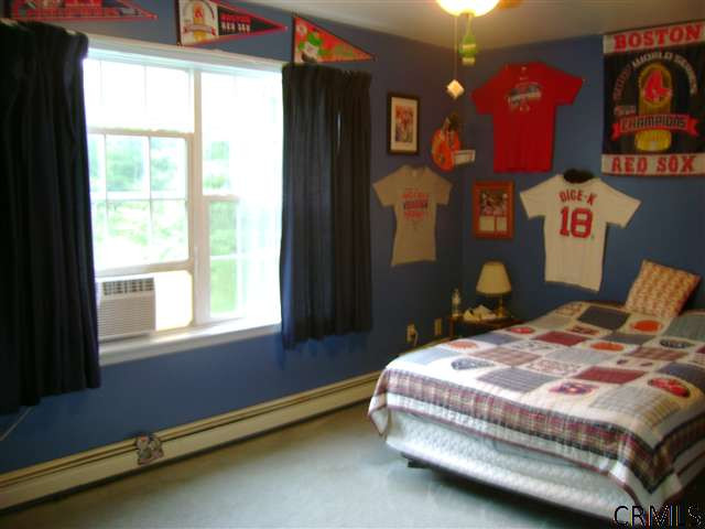 425 Cole Road Delanson, NY 12053 - Photo 10 of 12 Photo 10