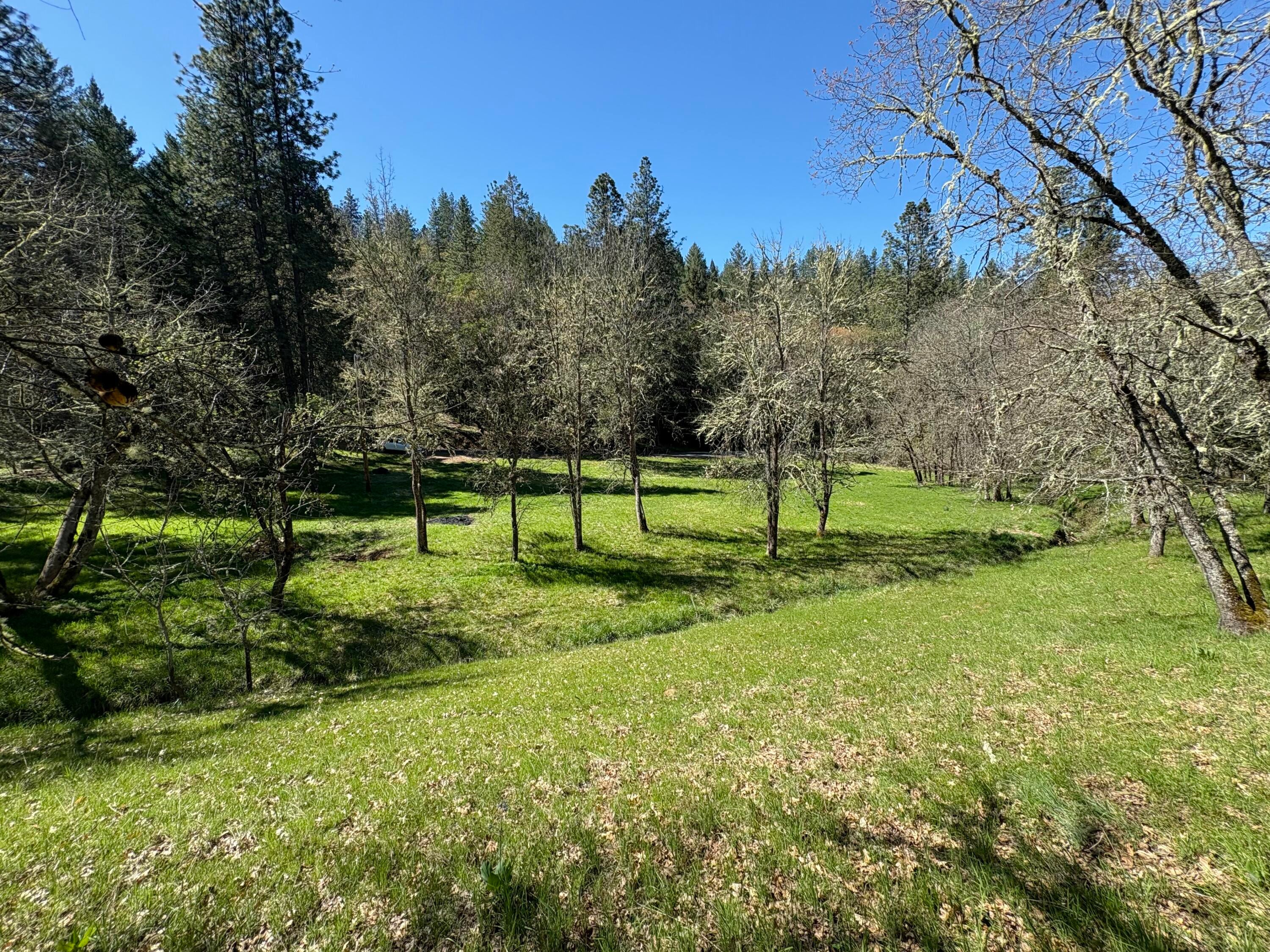 1237 Daisy Creek Road Jacksonville, OR 97530 - Photo 8 of 31 Upper potential home site area- looking down at meadow.