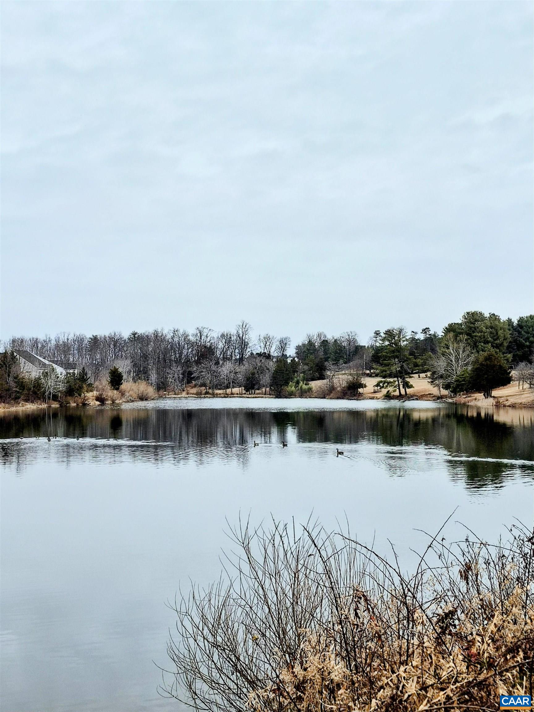 795 Four Seasons Drive Ruckersville, VA 22968 - Photo 41 of 43 Lake Rucker in Four Seasons