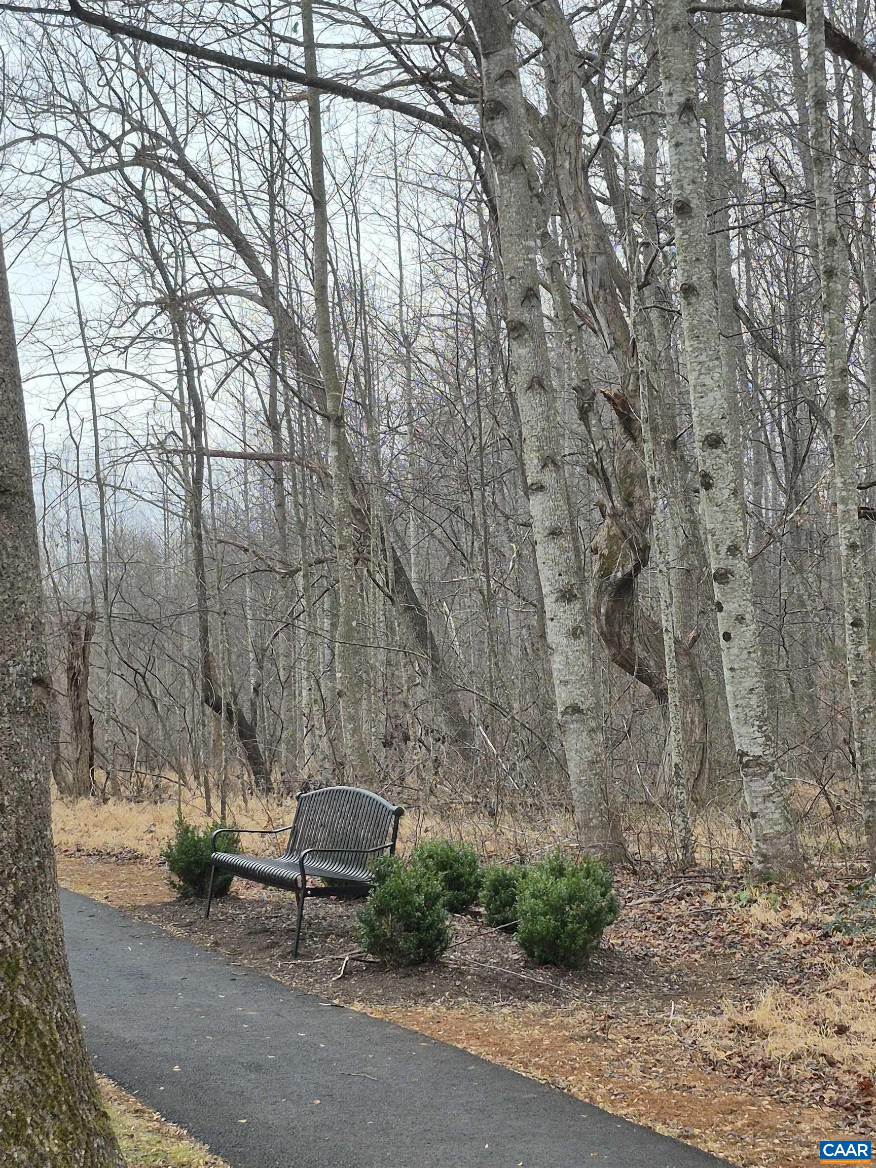 795 Four Seasons Drive Ruckersville, VA 22968 - Photo 43 of 43