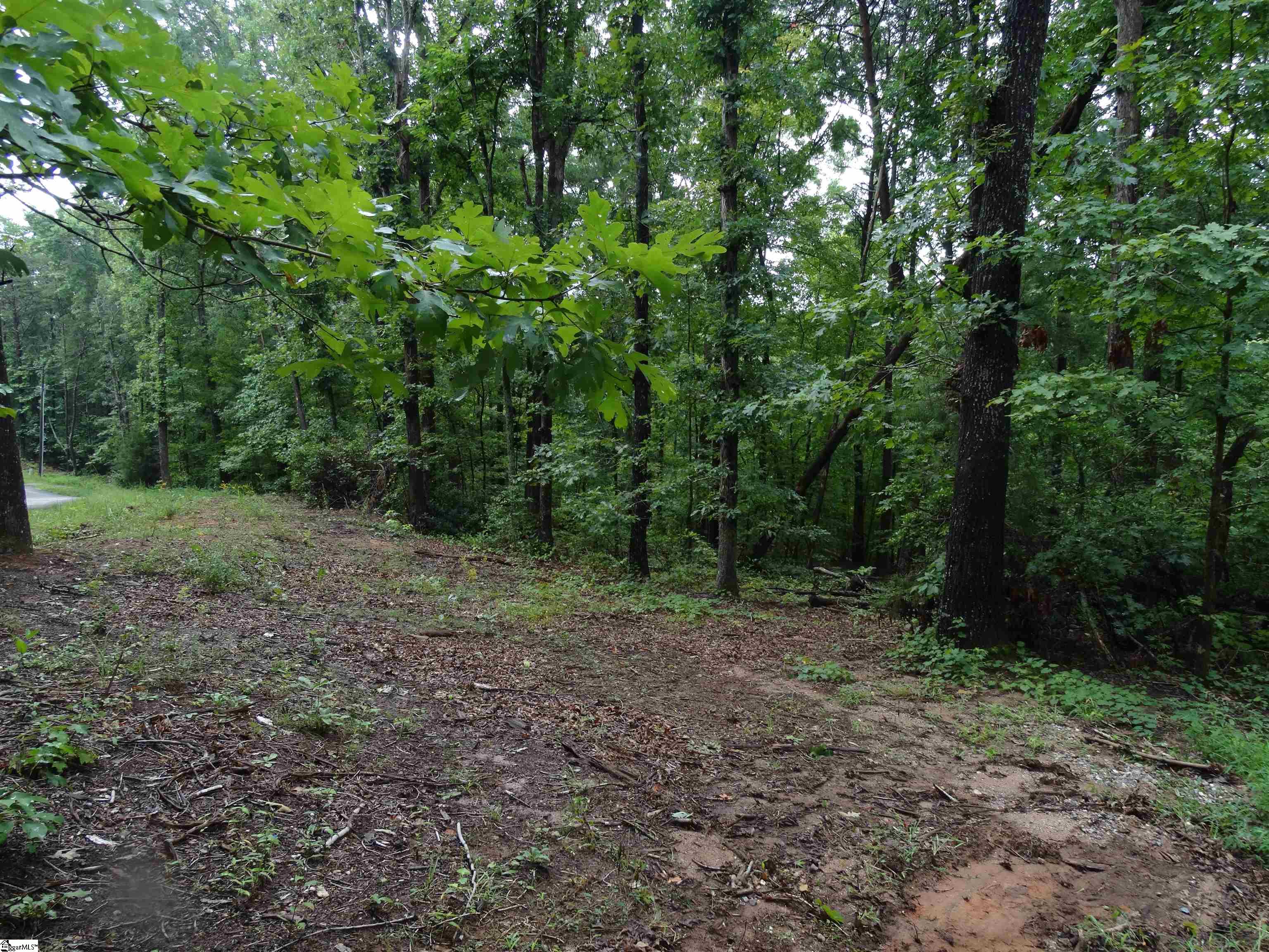 518 Goforth Road Landrum, SC 29356 - Photo 11 of 20 Gallery Image 11