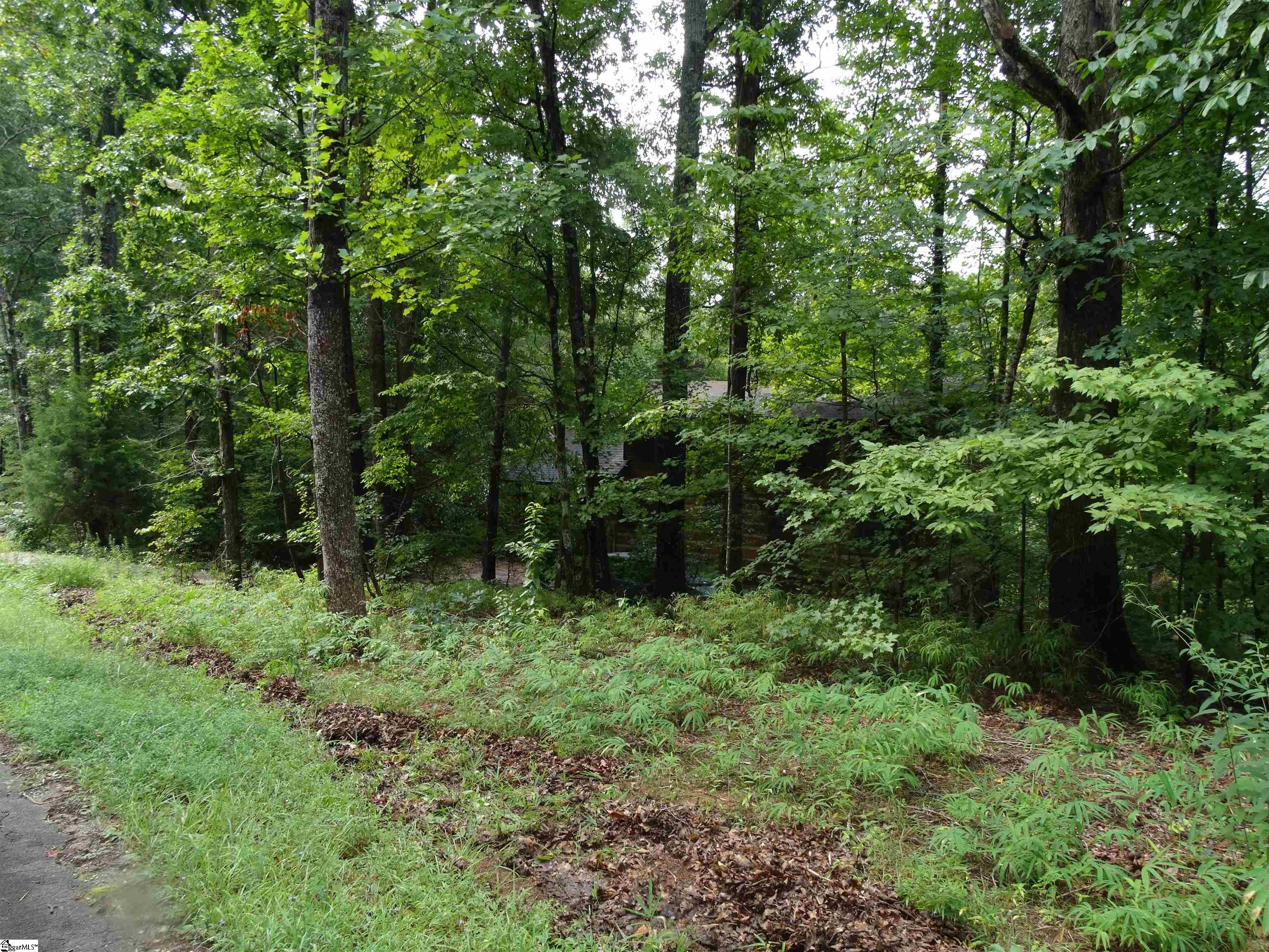 518 Goforth Road Landrum, SC 29356 - Photo 9 of 20 Gallery Image 9