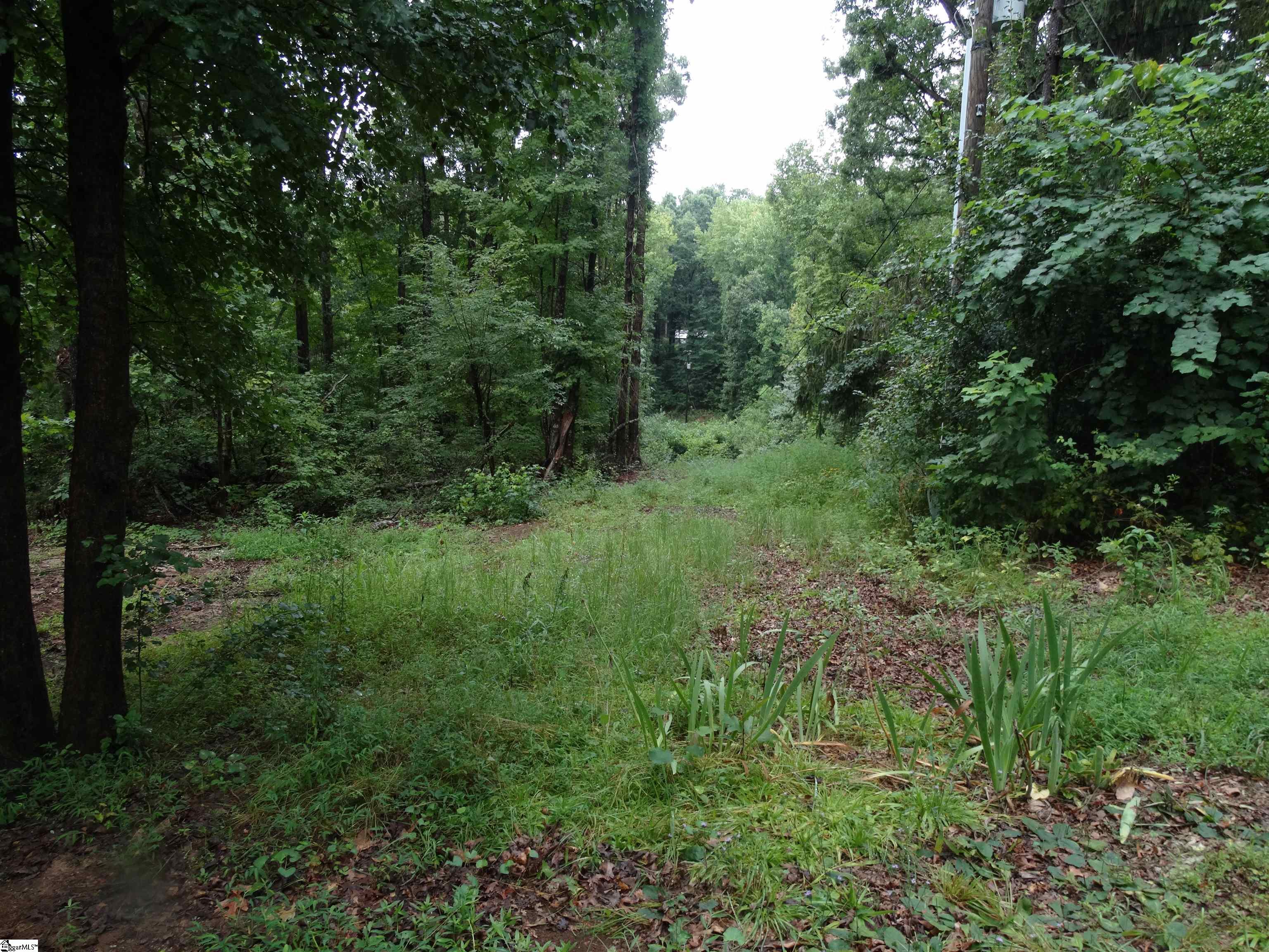 518 Goforth Road Landrum, SC 29356 - Photo 10 of 20 Gallery Image 10