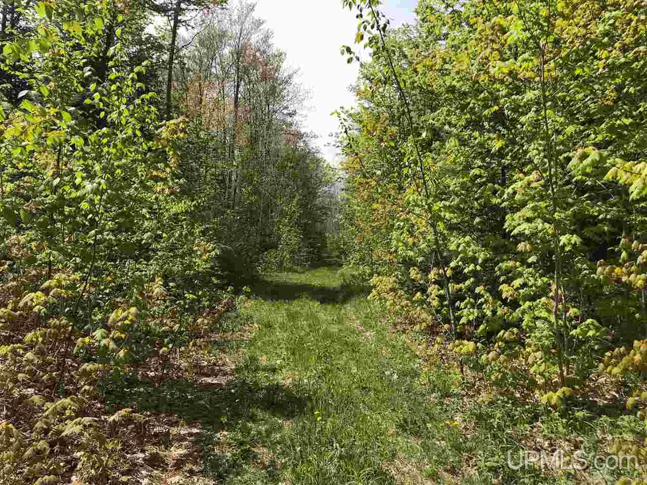 Tbd Co Rd 533 Road Rock, MI 49880 - Photo 10 of 13